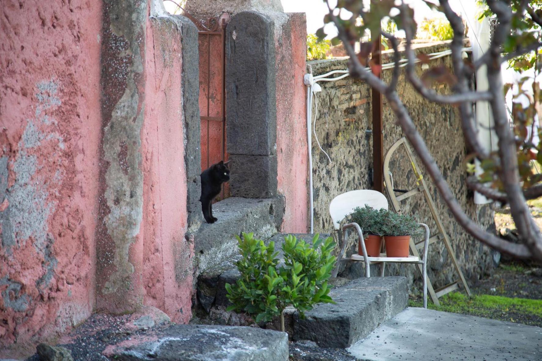 Podere Dell'Etna Segreta - Essential Nature Hotel & Glamping Biancavilla Exterior foto